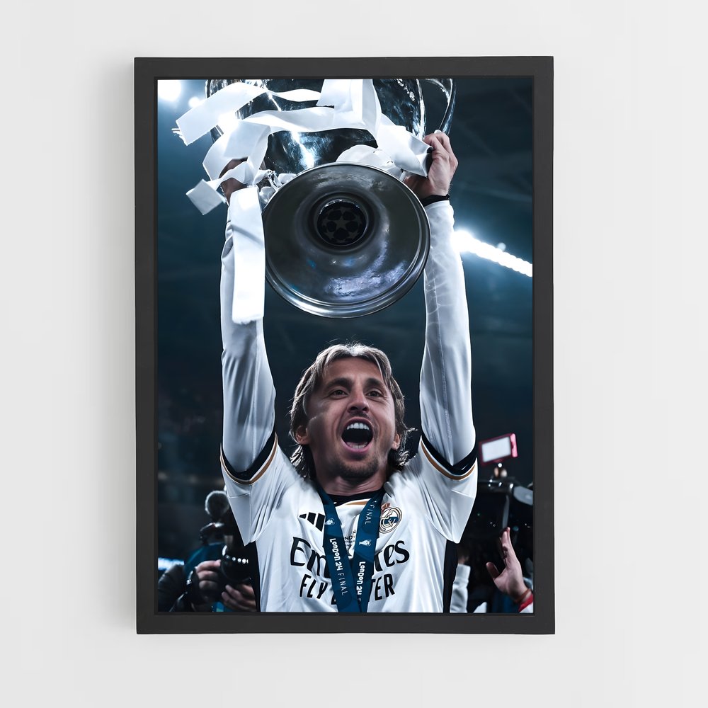 Poster Luka modric immortalisée (vue 2)